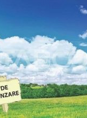 De vanzare